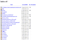 Desktop Screenshot of files.progective.com